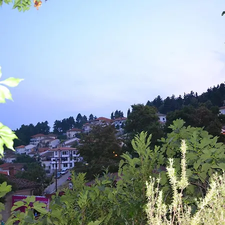 Villa Forum *